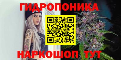 амф Ливны