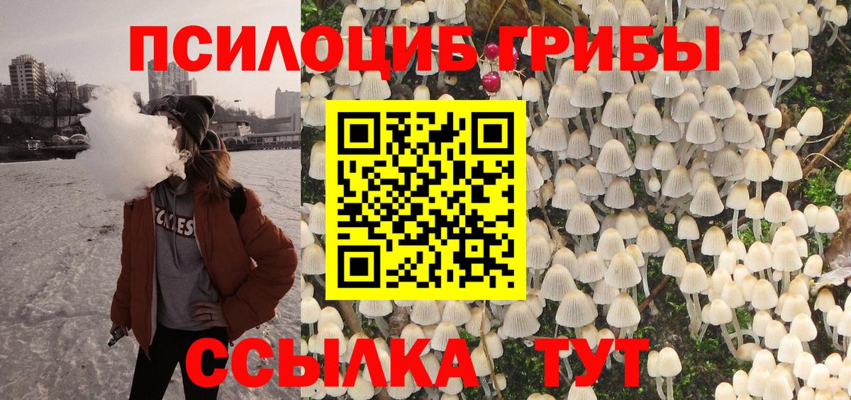 Галлюциногенные грибы Magic Shrooms  Вход с VPN  Гатчина  Галлюциногенные грибы Psilocybe 