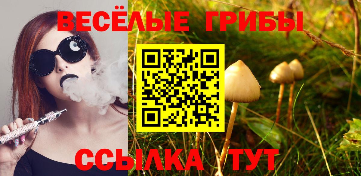 ГАШ Гатчина