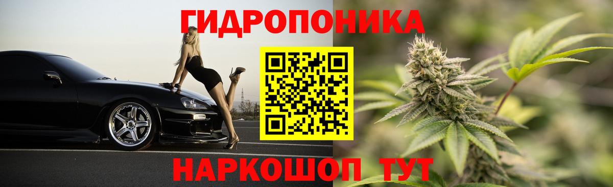 Каннабис Ganja  Конопля OG Kush  МАРИХУАНА семена  Конопля White Widow  Гатчина  Вход с VPN 